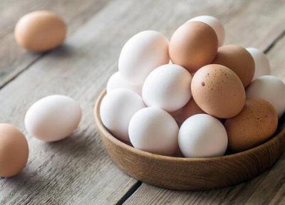 حقایقی در باره تخم مرغ؛ بالاخره خوب است یا مضر؟ ، همهٔ تخم مرغ ها را در یک سبد نگذارید