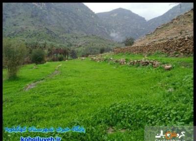 روستای دژکوه ؛ منطقه ای خوش آب و هوا از توابع کهگیلویه و بویراحمد، عکس