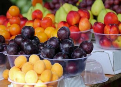 میوه های فصل برای خانواده ها چقدر هزینه دارد؟