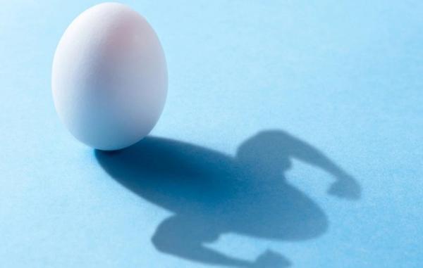 چرا پودر سفیده تخم مرغ از برترین مکمل های پروتئینی برای ورزشکاران است؟