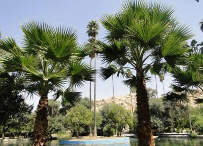 طراحی شاه نشین ویلا: باغ چشمه بلقیس جاذبه توریستی زیبا برای گردش یک روزه
