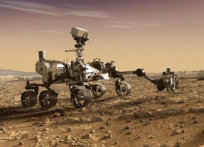 پیدا شدن آواکادو در مریخ! ، شگفتی های سیاره سرخ تمامی ندارد